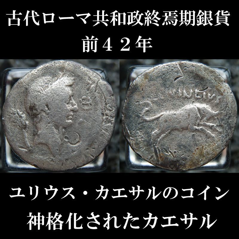 サイン・掲示用品 パネル 古代ローマ帝国 ユリウスカエサルの肖像の