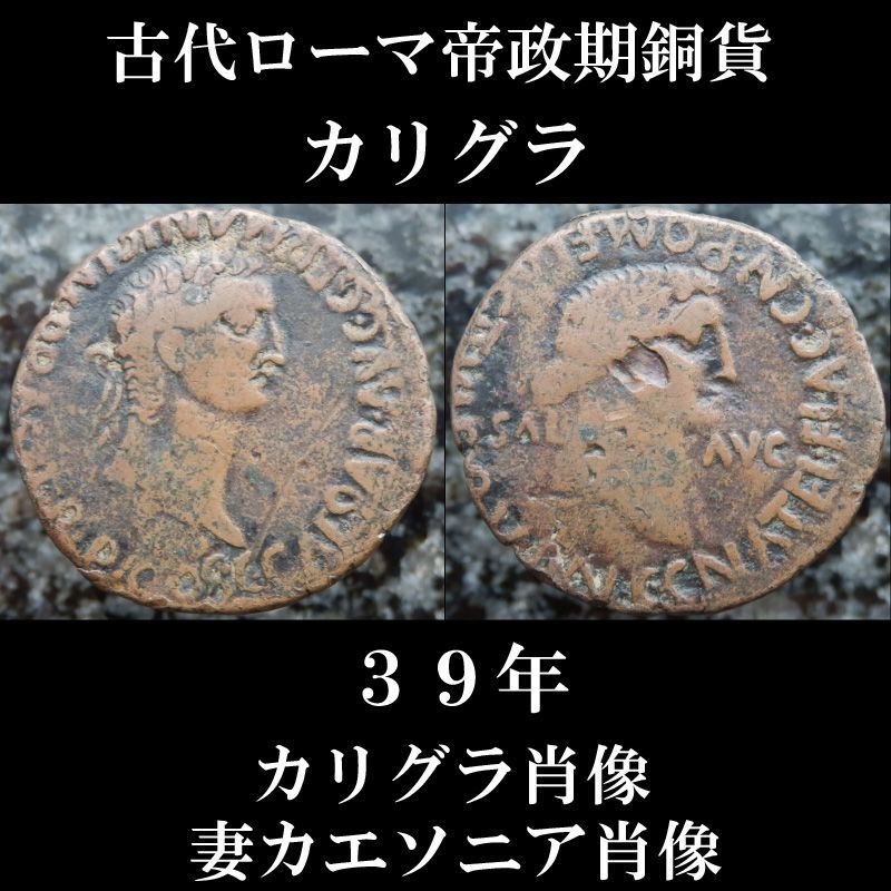 古代ローマコイン 帝政期 カリグラ アス銅貨 ３９年 カリグラと妻カエソニアの肖像のコイン 古代ローマ美術